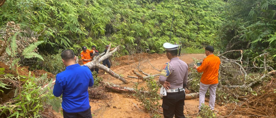 Personel Polres Lebong Survei Jalan yang Akan Dilalui Bus CJH Lebong