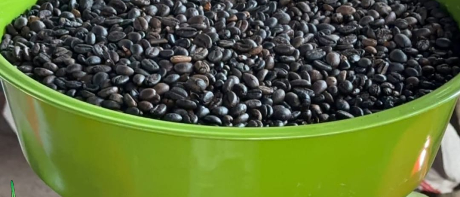 Produk Kopi Adirejo Milik Lapas Curup Jadi Primadona