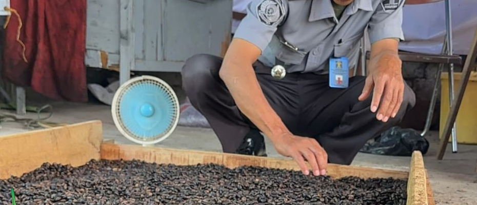 Lapas Curup Kembangkan Usaha Kopi Adirejo