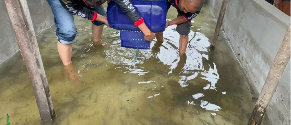 Lapas Curup Budidayakan Dua RIbu Ekor Ikan Lele, Siap Pasarkan ke Masyarakat