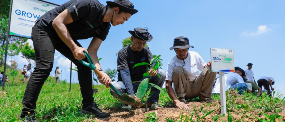 Pulihkan Hutan Bekas Tambang, Aksi Nyata Kelompok Tani Selamatkan Lingkungan Bersama BRI Menanam-Grow dan Green