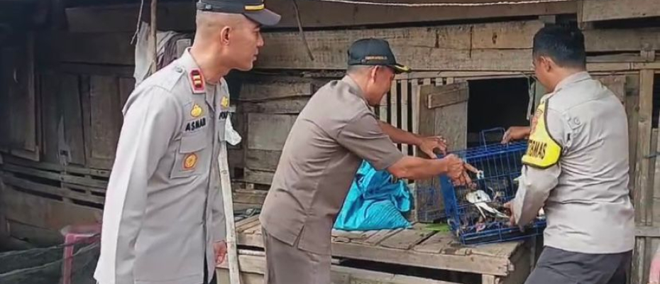 Kapolres Rejang Lebong Serahkan Bantuan Bibit Ayam Elba untuk Warga Sentral Baru