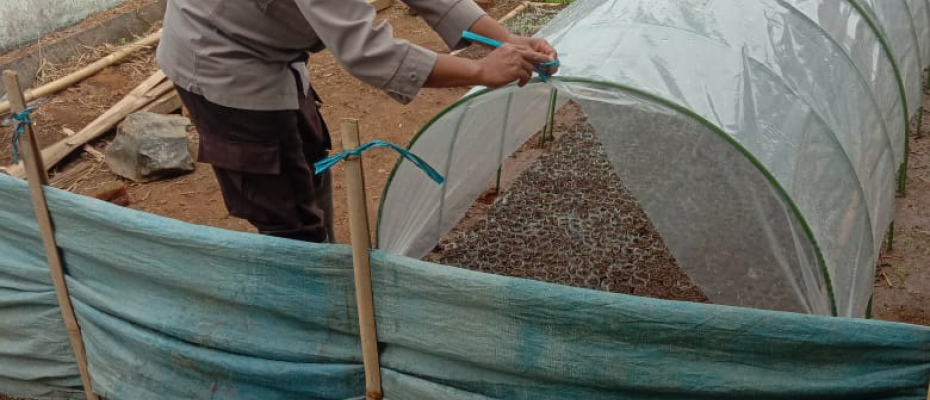 Dukung Ketahanan Pangan, Bhabinkamtibmas Sambang ke Kebun Warga