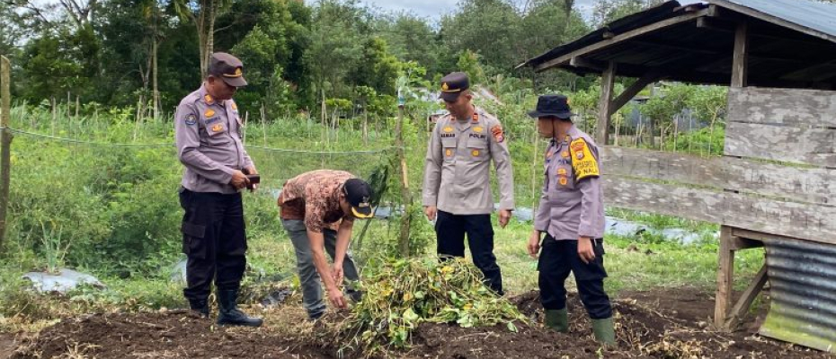 Polsek Bermani Ulu Polres Rejang Lebong Laksanakan Penanaman Ubi Jalar Madu untuk Mendukung Program Ketahanan Pangan
