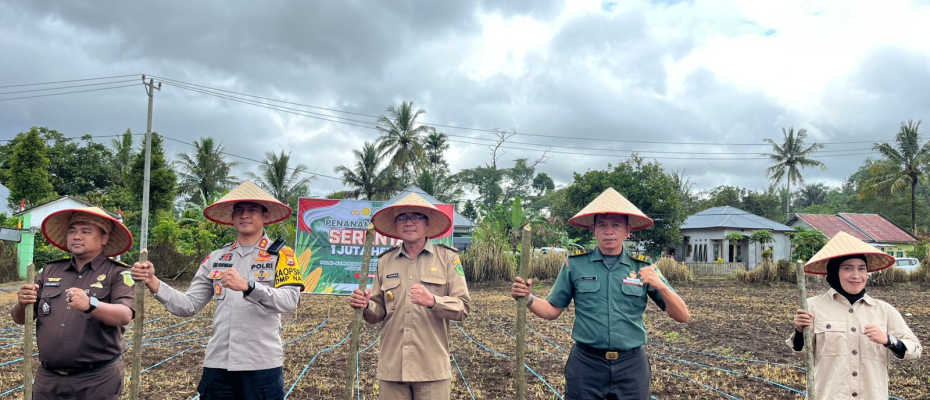 Sukseskan Swasembada Pangan 2025, Polres Rejang Lebong  Bersama Forkofimda Tanam Jagung Serentak di 3 Hektar Lahan