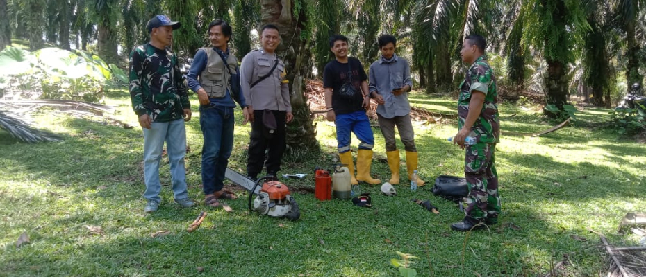 Bhabinkamtibmas Polsek Manna Laksanakan Pendampingan Pemangkasan Pohon di Jalur SUTET