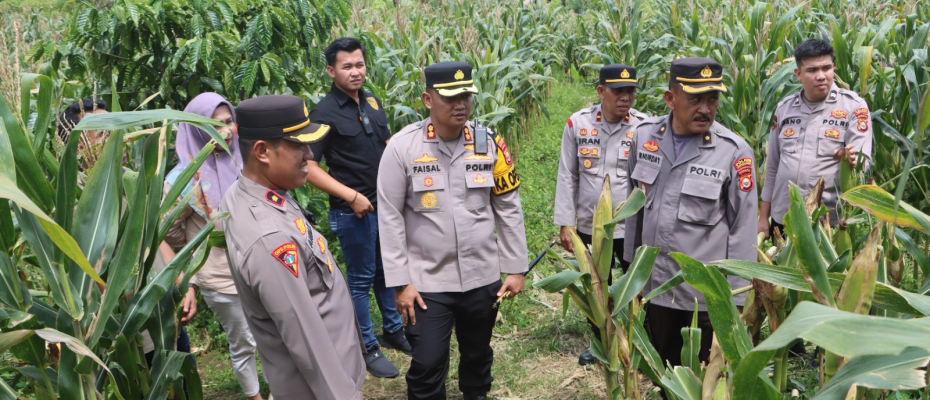 Polres Kepahiang Dukung Ketahanan Pangan Nasional Lewat Program Penanaman Jagung