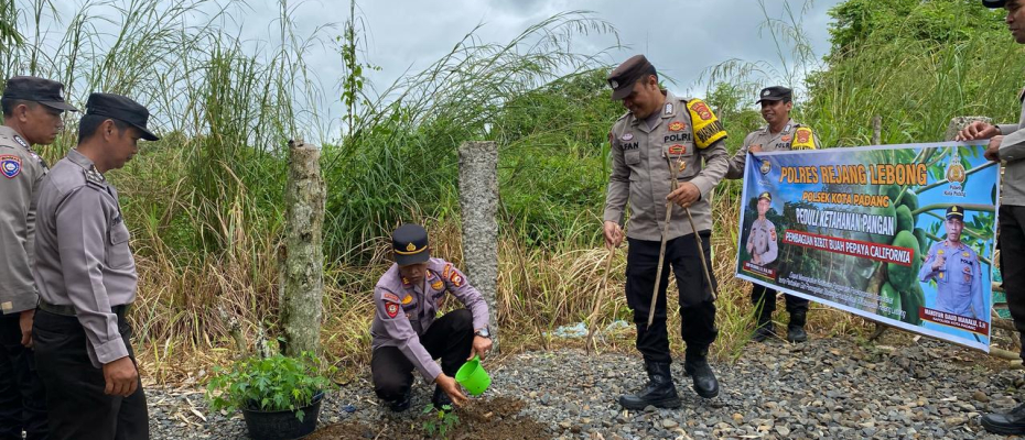 Dukung Ketahanan Pangan, Polsek Kotapadang Bagikan Bibit Pepaya ke Masyarakat
