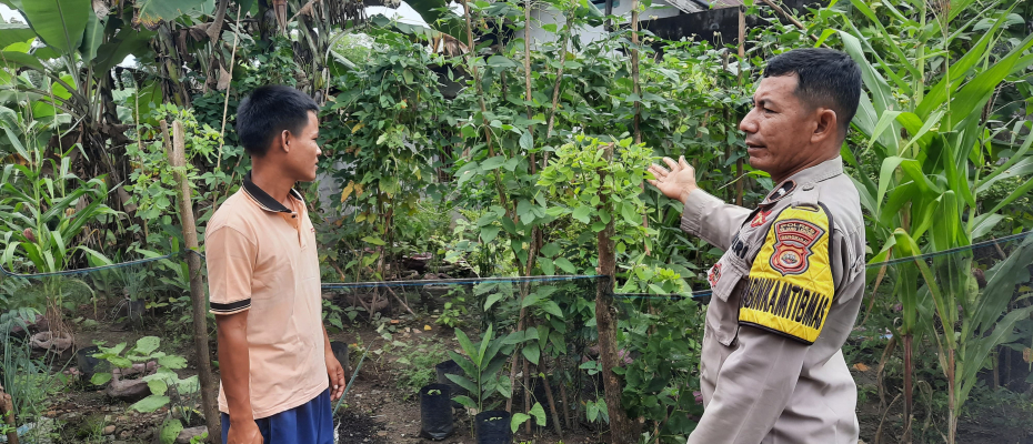 Polsek PU. Tanding Dukung Ketahanan Pangan, Bhabinkamtibmas Ajak Warga Manfaatkan Pekarangan