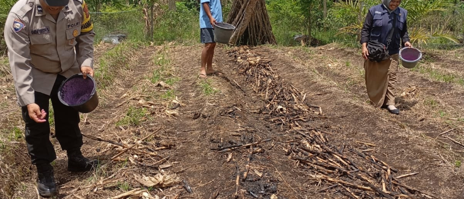 Bhabinkamtibmas Polsek Ujanmas Pantau Lahan Ketahanan Pangan, Dukung Program SADE SAHE