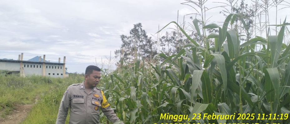 Personel Polsek Lebong Selatan Monitoring Pekarangan Pangan BergiziPersonel Polsek Lebong Selatan Monitoring Pekarangan Pangan BergiziPersonel Polsek Lebong Selatan Monitoring Pekarangan Pangan BergiziPersonel Polsek Lebong Selatan Monitoring Pekarangan Pangan Bergizi
