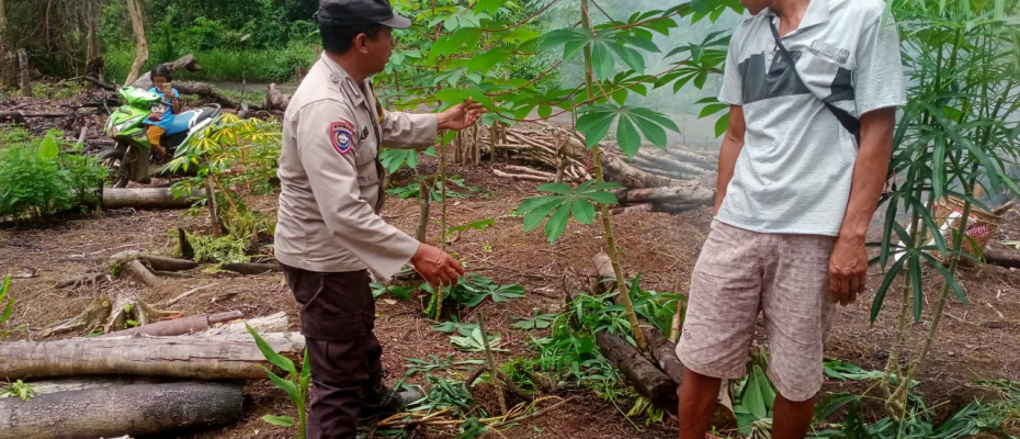 Polsek Kota Padang Pantau Pemanfaatan Lahan Tidur untuk Ketahanan Pangan