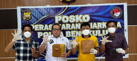 Pecatan PNS Asal Kaur Diringkus Polisi, 2 Kilogram Ganja serta Sabu Jadi BB .